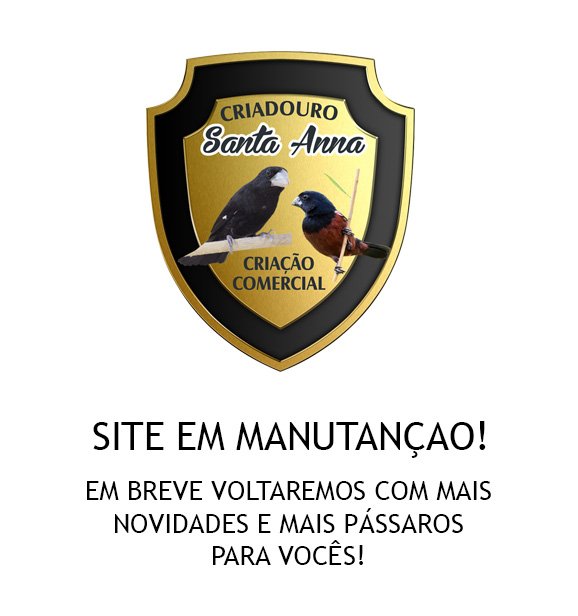 Site em Manutenção