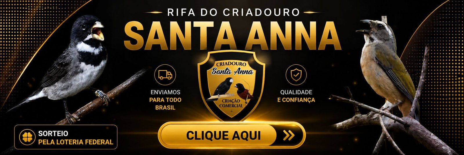 Rifa Santa Anna